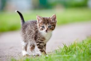 image143493